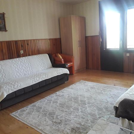 Vila Trtovic Nova Varos Bagian luar foto