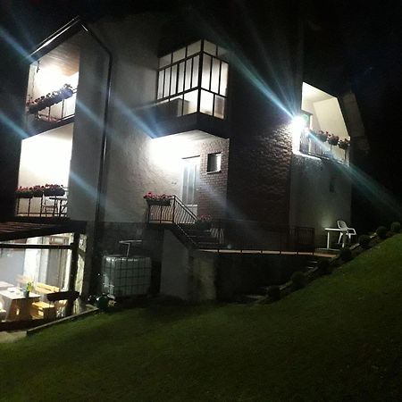 Vila Trtovic Nova Varos Bagian luar foto