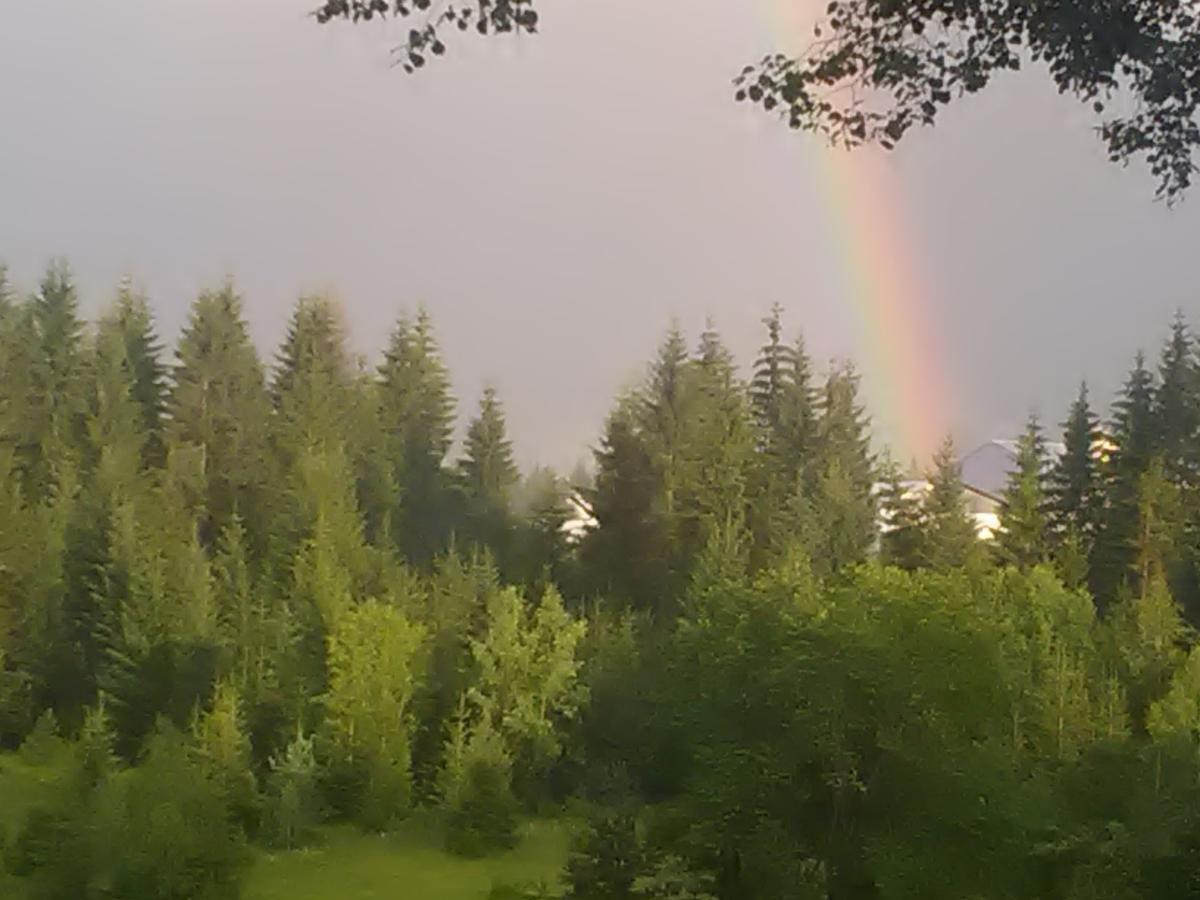 Vila Trtovic Nova Varos Bagian luar foto