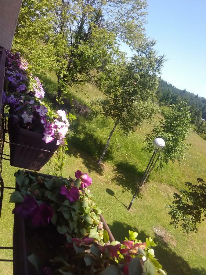 Vila Trtovic Nova Varos Bagian luar foto